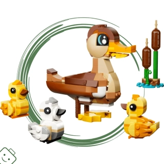 LEGO® Creator Kachní rodinka - limitovaná edice / 40885